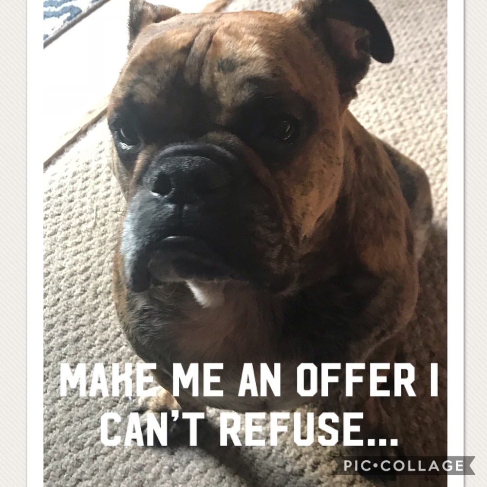 Make me an offer I can’t refuse!